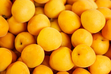 Lots of juicy fresh apricots. Vitamins and health from nature. Close-up. Top view. Background.