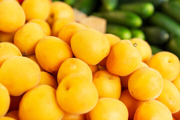 Lots of juicy fresh apricots on the market counter. Vitamins and health from nature. Close-up. Side view.