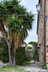 Foto op Plexiglas Im Zentrum des kleinen toskanischen Dorfes Bolgheri in der Toskana. Perspektivischer Blick in das Dorf. Seitlich ein altes Gebäude mit Straßenlaterne und ein großer alter Baum. © Frank Andree