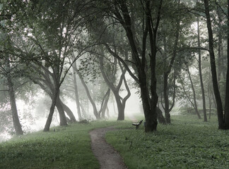 Foggy morning in the city park. Foggy landscape.