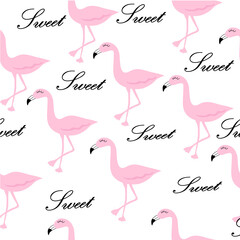 Seamless flamingo pattern with English letter Sweet on white background.