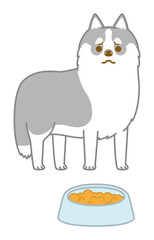 食欲がないシベリアンハスキー
