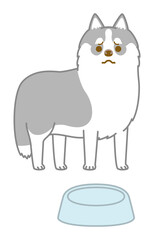 ご飯がなくてガッカリするシベリアンハスキー