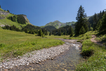 Rivière dans les alpages des Lindarets