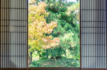 藤枝市にある田中城の茶室から見る日本庭園