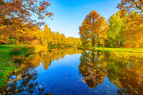 Autumn park landscape with a lake. Autumn. A new season. Beautiful landscape. Yellow trees. Photos for printed products . An article about autumn .
