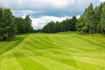 Golf course, landscape, green grass on the background of the forest and a bright sky with clouds. High quality photo
