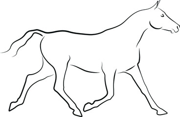 horse vector illustration black ink outline silhouette