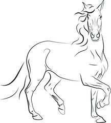 horse vector illustration black ink outline silhouette