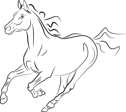 horse vector illustration black ink outline silhouette