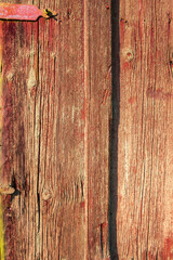 Old red wooden door in sunshine