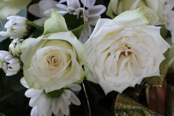 flower in close up
