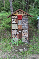 decoration in the forest