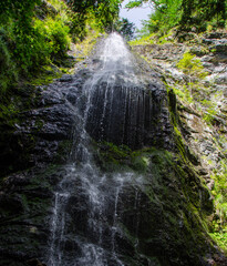 Obraz premium waterfall in the woods