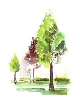 Hand drawn watercolor light sketch illustration. green and red trees on the lawn grass on a sunny day. drawing on a white background