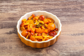 Marinated pickled honey mushrooms in the bowl