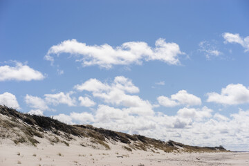 Coast of the Baltic Sea. Sand dunes with clouds. Typical Baltic beach landscape.