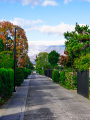 整然としたかつての武家屋敷街　仲町伝統的建造物群保存地区（青森県弘前市）
