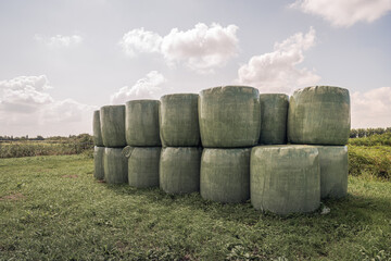 Bales of hay packed with green plastic film stacked on the edge of grassland in a Dutch nature...