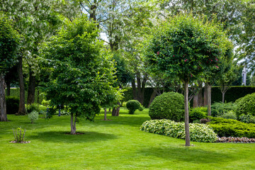 manicured park with green plants on a green lawn with a flower bed and trees in the garden for...