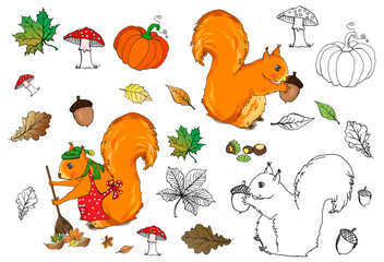 Wiewiórki jesień liście, przedszkole - obrazy, fototapety, plakaty