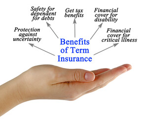 Five Benefits of Term Insurance