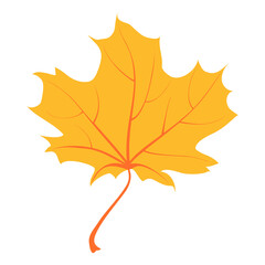 Obraz premium Autumn natural Background. Design for greeting card, Sale or promotion poster, flyer, web banner. Colorful fall season leaves.Vector illustration