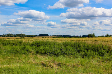 Rural landscape with meadow and cloudy sky