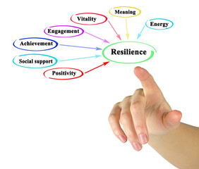 Presenting Seven drivers of resilience