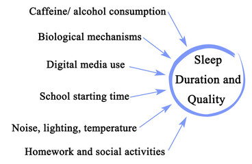  What Affect Sleep Duration and Quality