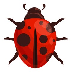 Ladybug insect icon cartoon vector. Spring bug. Forest beetle