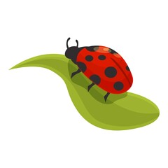 Plant ladybird icon cartoon vector. Garden ladybug. Bug summer