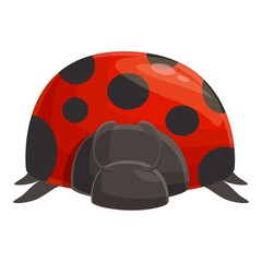 Ladybird beetle icon cartoon vector. Garden ladybug. Bug insect