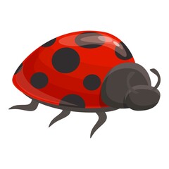 Beetle bug icon cartoon vector. Ladybug insect. Spring ladybird