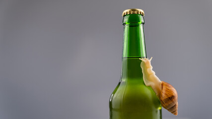Close-up of a snail crawling on a glass bottle of beer in the studio.