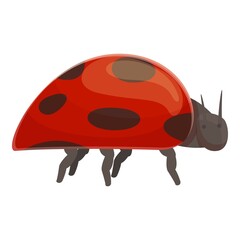 Lady beetle icon cartoon vector. Ladybug spring. Bug insect