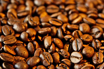 Brown beans of aromatic roasted coffee.