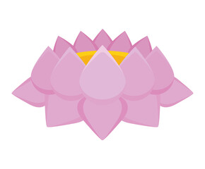 pink lotus design