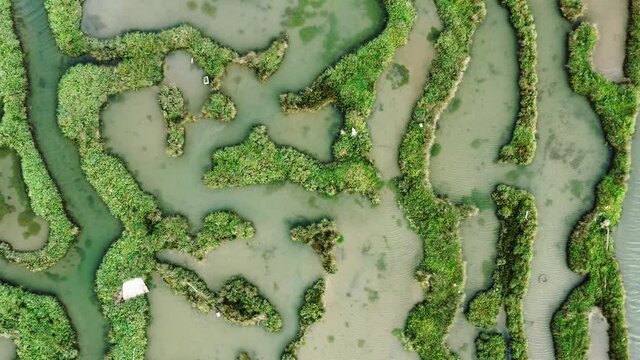 Top down view of scenic green wetland with complex pattern of intermediate ridges and peat bog pools.