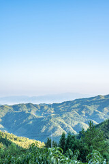 Fototapeta premium Yanling Alpine Yellow Peach Planting Fruit Forest, Hunan Province, China