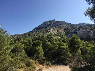 View of Mont Puget and typical Calanques cliff with sparse vegetation anchored to it seen from the...