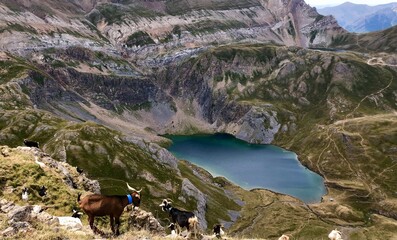 Pirineo Aragonés 