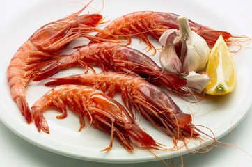 gambon Tojo  fresco con cabeza de ajos sobre fondo blanco. Fresh Gorse Gambon with head of garlic on white background.