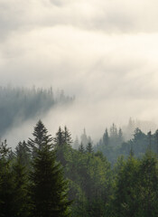 fog in the mountains