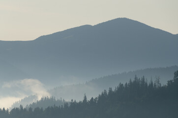 landscape with fog