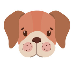 dog face representation