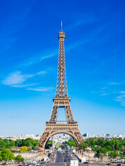 Fototapeta premium パリ エッフェル塔