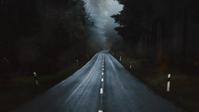 Spooky Road In Dark Forest, Traveling Shot. Walking on a spooky dark road in the woods with a heavy mist. Traveling shot