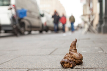 poop in the city