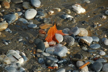 Abstract nature pebbles . Sea peblles beach. stones on the seaside maple leaf between stones